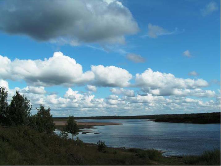 река Пинега у Голубино